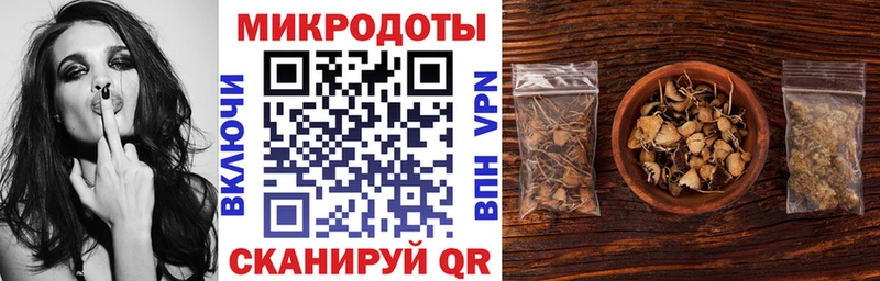 Псилоцибиновые грибы Cubensis  Сенгилей 