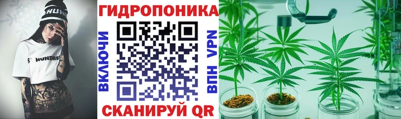 Конопля OG Kush Сенгилей